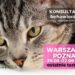 Konsultacja behawioralna kota w Warszawie (okolice Woli lub Centrum) 1 czerwca oraz w Poznaniu 2 czerwca. Zapraszam: tel. 507 331 301