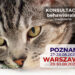 koci behawiorysta w Warszawie