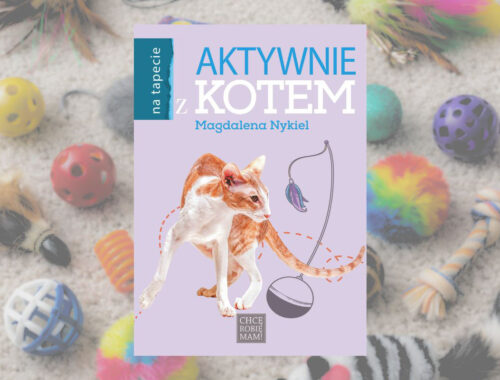 Aktywnie z kotem, M. Nykiel, książka nie tylko o tym jak bawić się z kotem