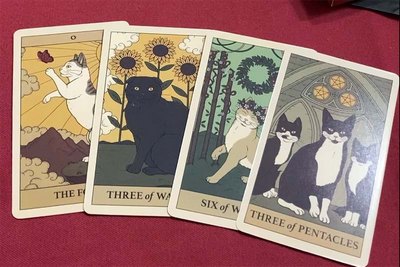 koci tarot 2026